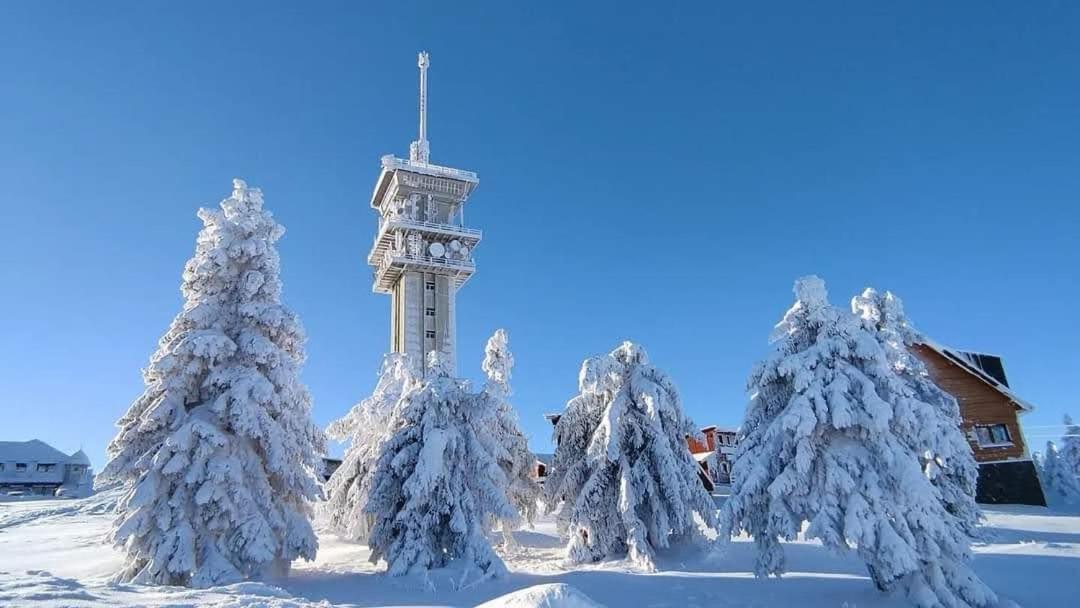 Apartmán Petra Kovářská Esterno foto