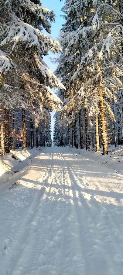 Apartmán Petra Kovářská Esterno foto