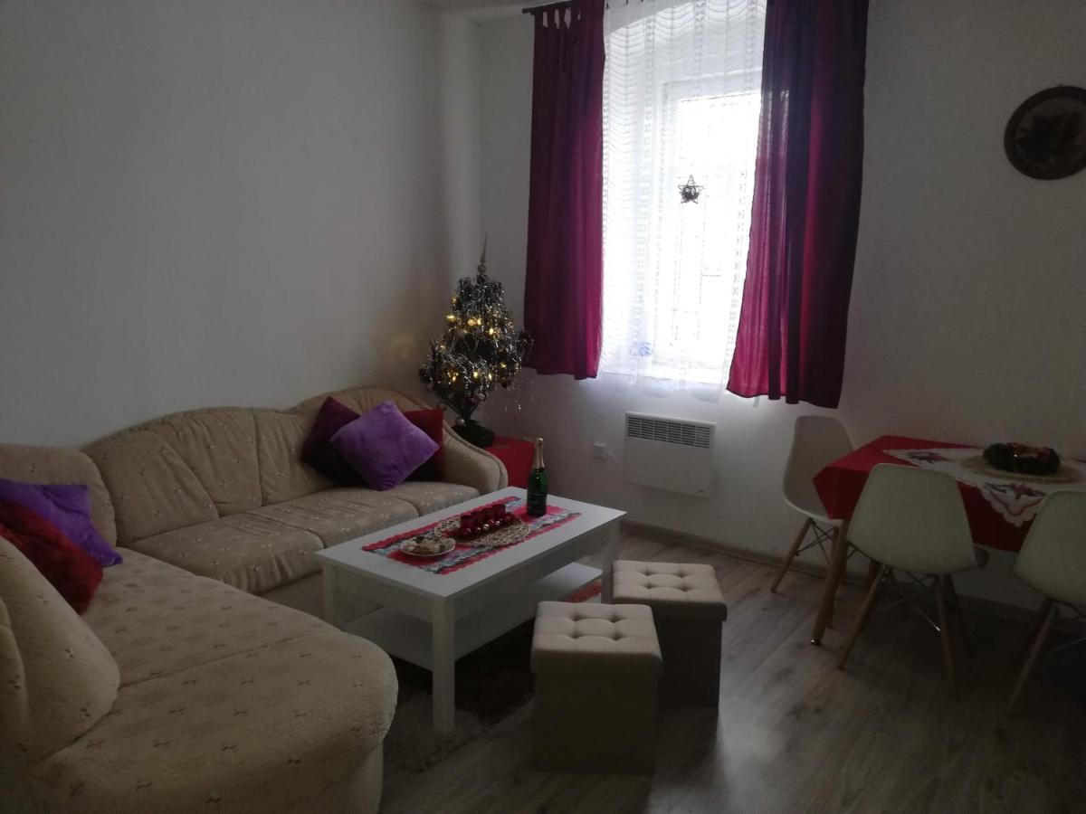 Apartmán Petra Kovářská Esterno foto