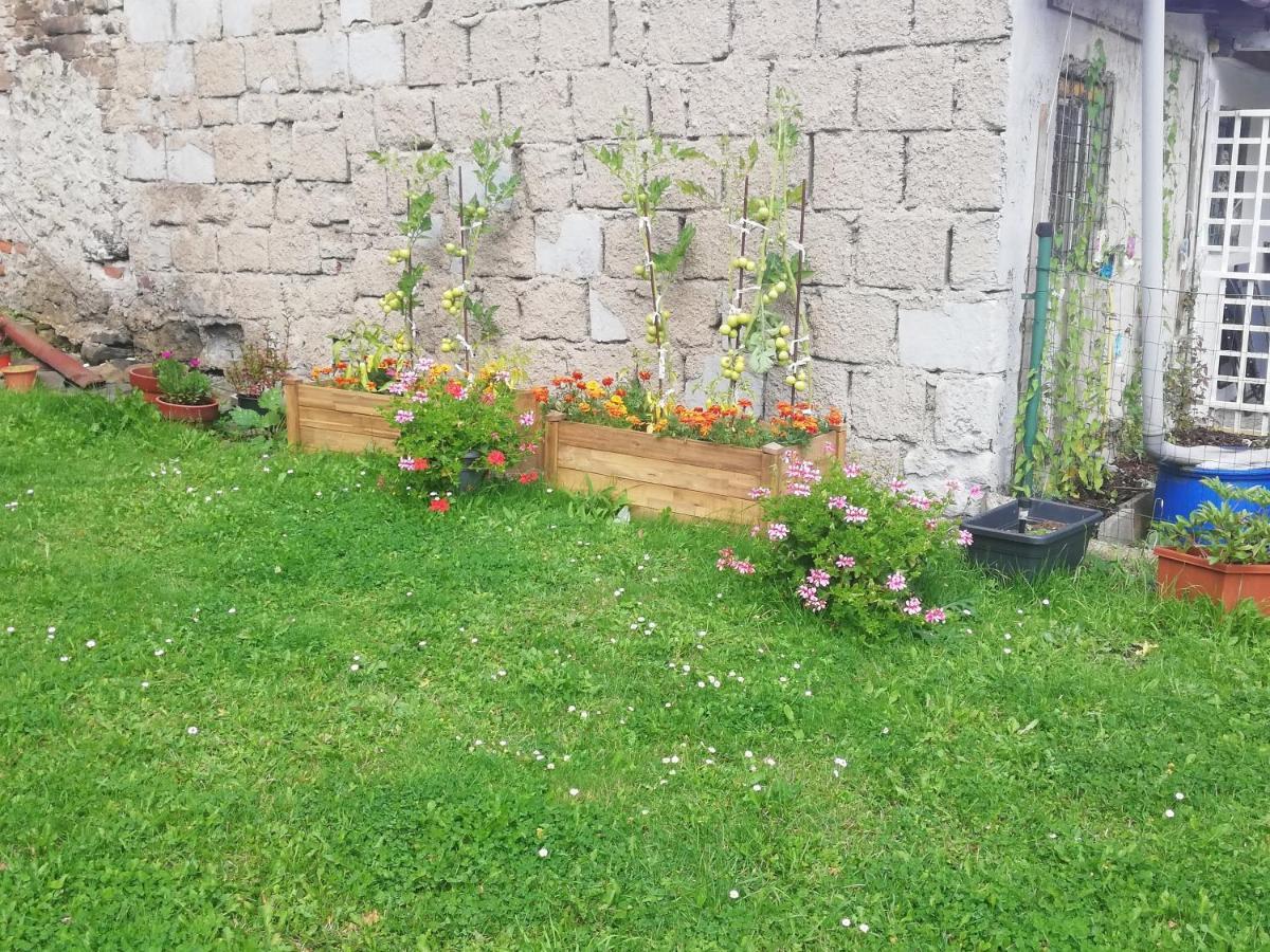 Apartmán Petra Kovářská Esterno foto